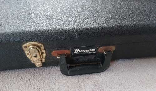 Ibanez STM1 Sam Totman Signature Iceman Guitar