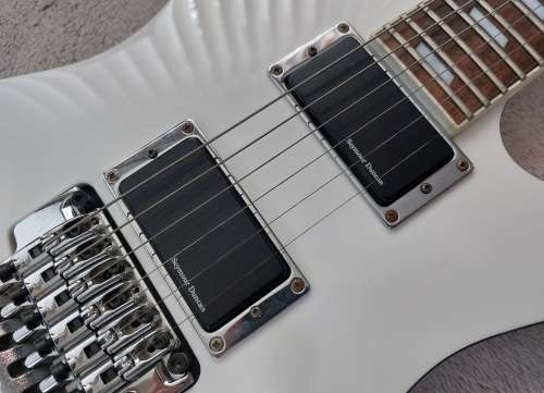 Ibanez STM1 Sam Totman Signature Iceman Guitar