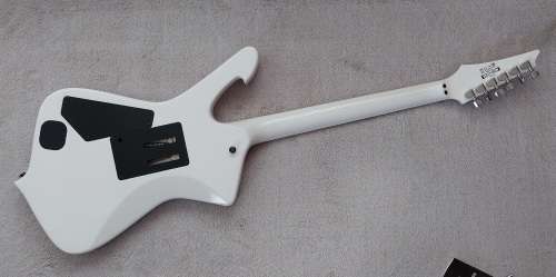 Ibanez STM1 Sam Totman Signature Iceman Guitar