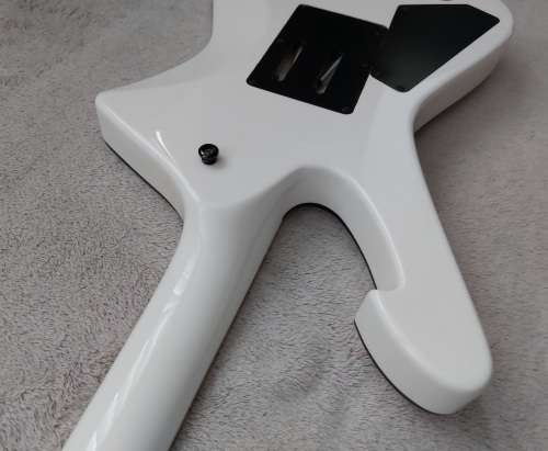 Ibanez STM1 Sam Totman Signature Iceman Guitar