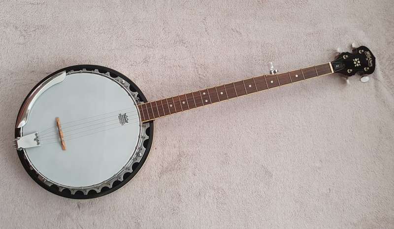 Washburn B9 Banjo 5 String with Case