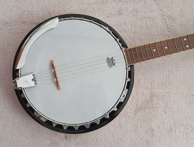 Washburn B9 Banjo 5 String with Case