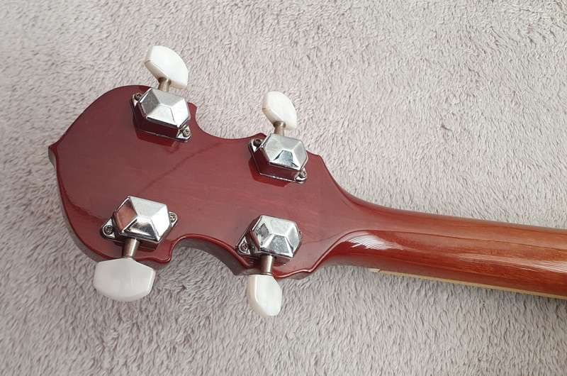 Washburn B9 Banjo 5 String with Case