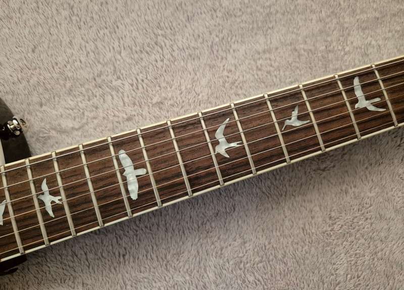 PRS SE Tremonti Signature Guitar