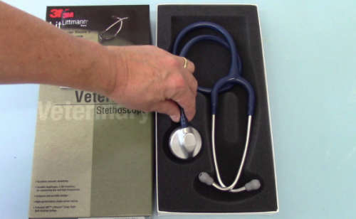 Littmann Veterinary Master Classic II: Stainless Steel- Navy (FREE SHIPPING)
