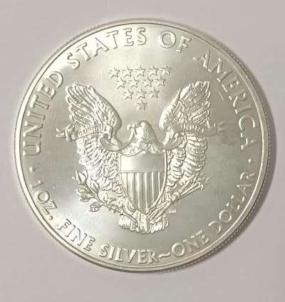 2013 Silver Eagle