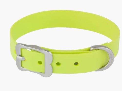 Stylish Red Dingo Vivid PVC Dog Collar - M - Lime Green