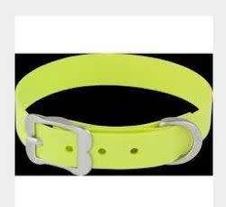 Red Dingo Vivid PVC Dog Collar - M - Lime Green
