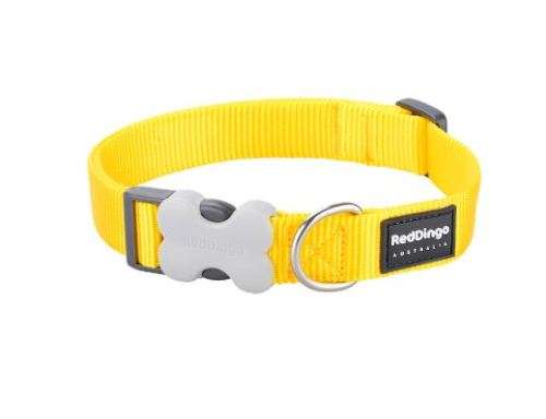 Red Dingo Classic Collar M - Yellow M