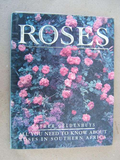 Roses - All You Need To Know About Roses In South Africa