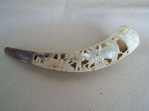 Carved Cow Horn