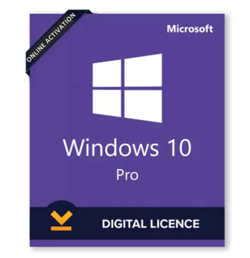 Office 2019 & Windows 10 Professional License Bundle