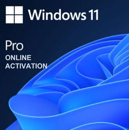 Windows 11