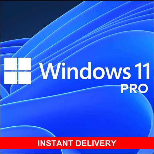 Windows 11 Professional