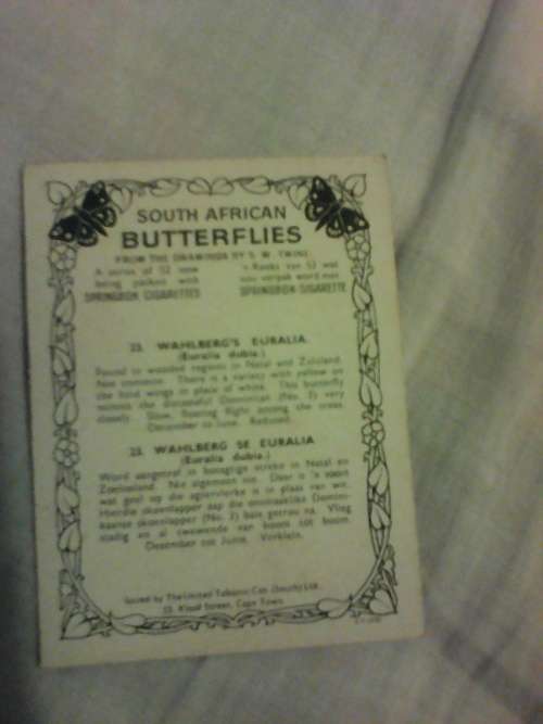 (34/52) Vintage South African Butterflies Cigarette Cards