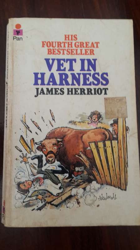 Vet In Harness (Paperback)
