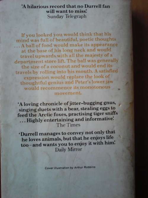 Beasts In My Belfry (Paperback)