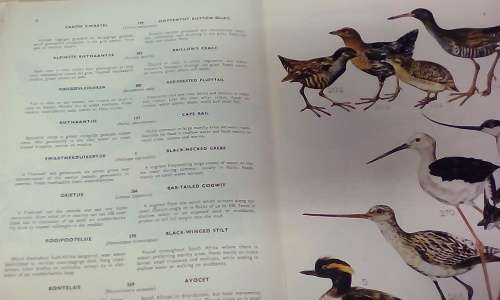 4 Volumes Birds of the Kruger and other National Parks (Circa 1974)