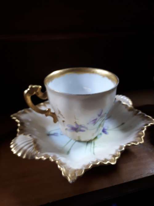 Highly Unusual Vintage Foley China Duo (Marked Both England @ France)