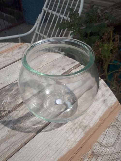 Goldfish Glass Bowl