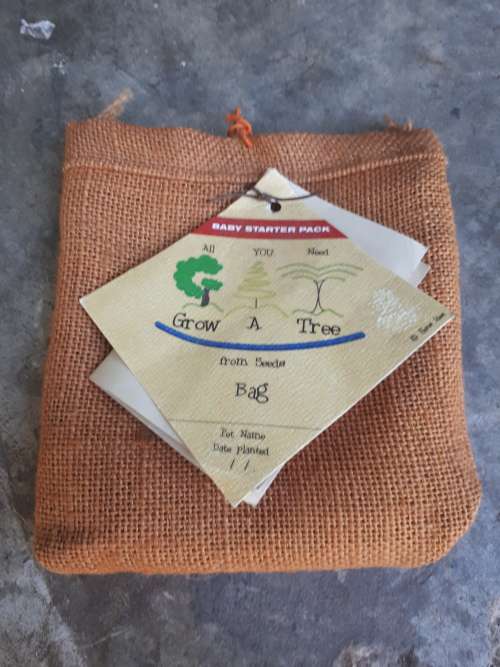 Grow a Tree Starter Pack (5 Seeds Wild Plum 2008 Tree of the Year)