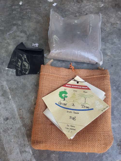 Grow a Tree Starter Pack (5 Seeds Wild Plum 2008 Tree of the Year)