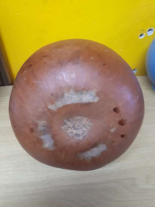 North African Wild Pumpkin Water Flask
