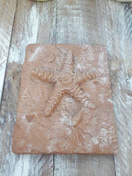 Ceramic Painted Starfish Wall Hanging