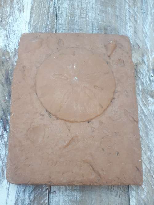 Ceramic Painted Fossil Shell Wall Hanging