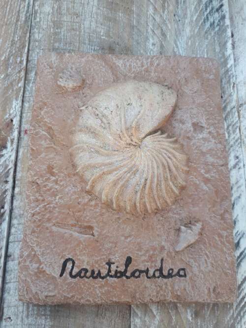 Ceramic Painted Shell Wall Hanging