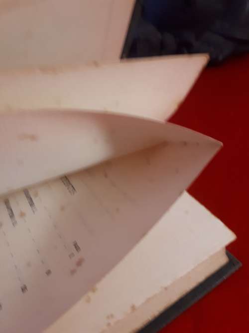 Circa 1900 Concerning Isabel Carnaby - E.T Fowler (Colonial Edition)