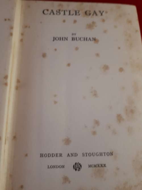 Circa 1930 Rare First Edition Castle Gay - John Buchan