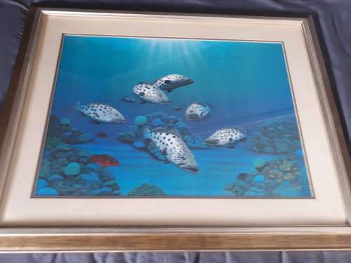Australian Artist Darrell Hook Limited Edition Print Signed @ Numbered
