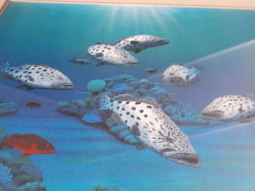 Australian Artist Darrell Hook Limited Edition Print Signed @ Numbered