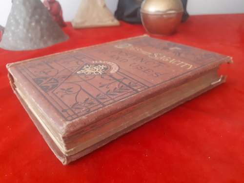 Rare First Edition Circa 1877 Dogs : Sagacity, Instinct, And Uses - George Frederick Pardon