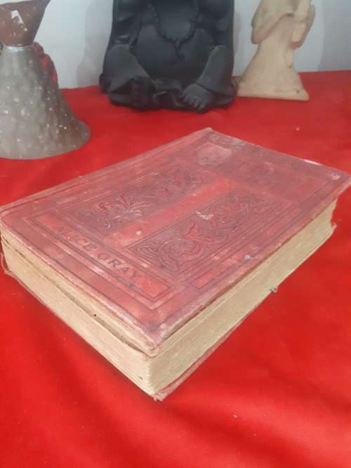 Circa 1890 Netties Mission - Alice Gray - Cloth Cover
