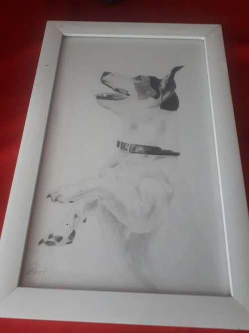 Glass Framed Pencil Art of Jack Russell - Signed