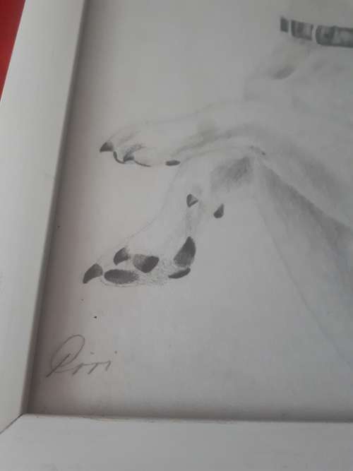 Glass Framed Pencil Art of Jack Russell - Signed