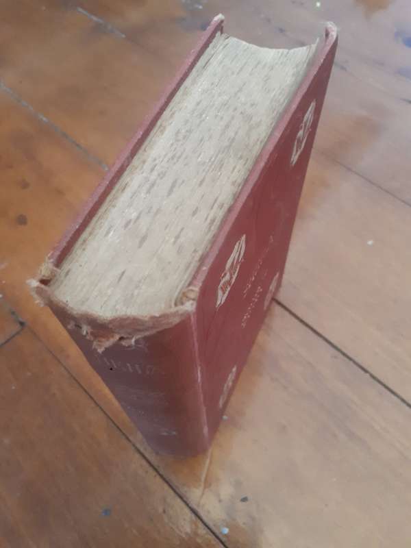 Circa 1900 SHEILA by Annie S. Swan Clothcover