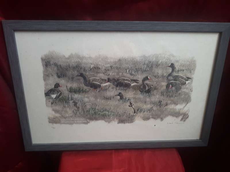 Famous Swiss Artist Robert Hainard (1906-1999) Limited`Numbered` Signed Stone Lithograph `Geese` 54`