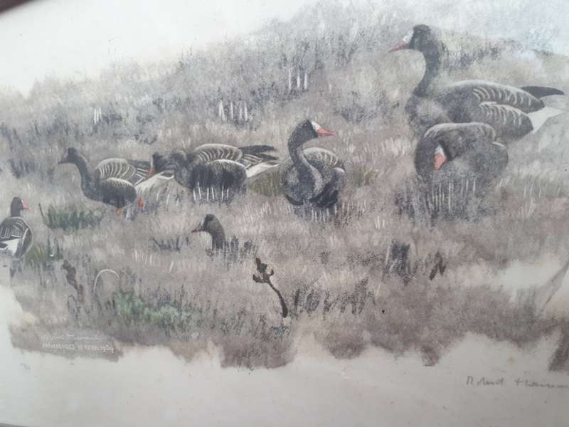 Famous Swiss Artist Robert Hainard (1906-1999) Limited`Numbered` Signed Stone Lithograph `Geese` 54`