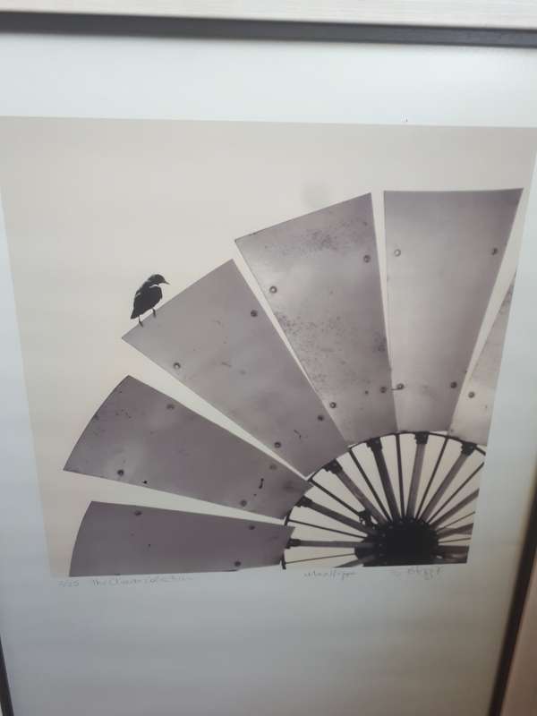 Popular SA Artist Sue Hoppe No 2 / 25 `The Climax Collection` Signed Sue Hoppe & Husband Max Hoppe