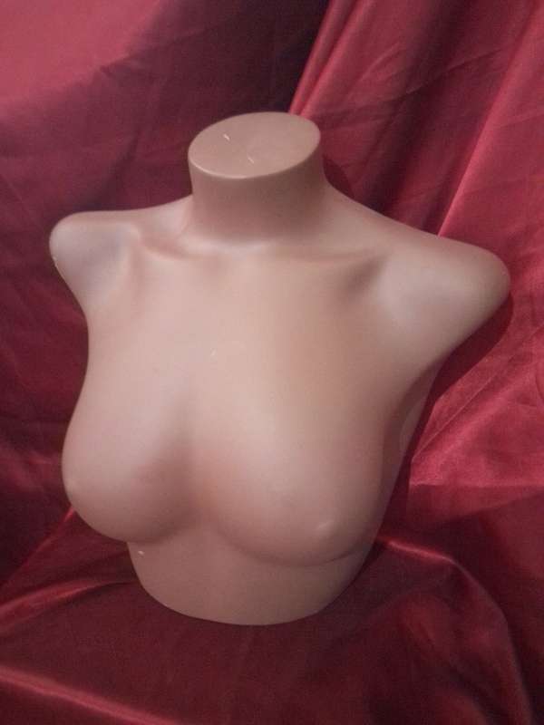 Resin Jewelry Display Bust