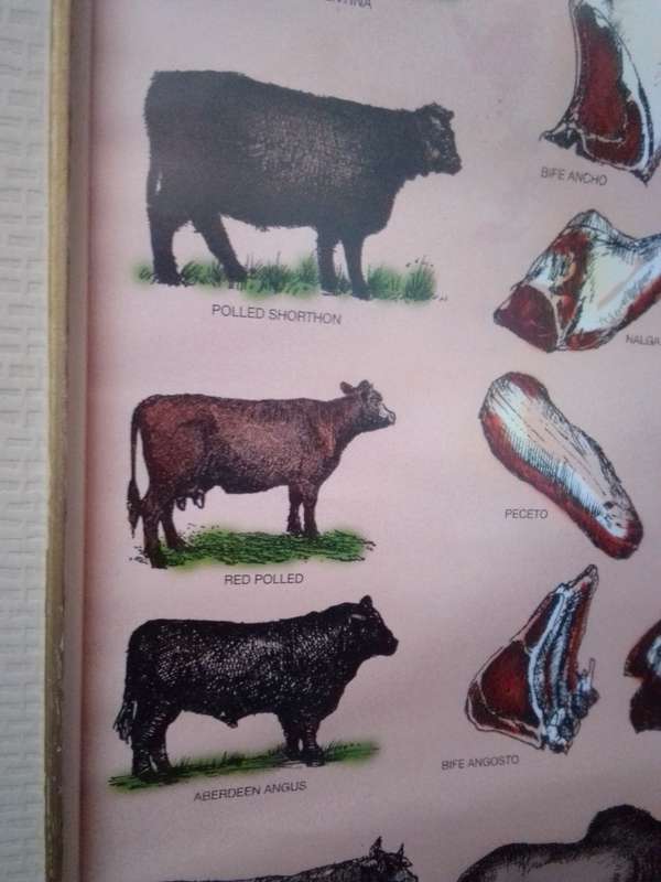 Carnes Argentinas Butchery Poster In Old Glass Covered Frame