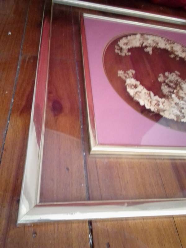 Stunning 1970`s Glass Framed Dried Flowers Artwork