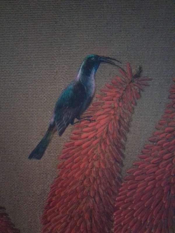 Famous Dutch Artist Andre Van Coillie 1907-1973 Oil on Board `Still life Hummingbird` Signed
