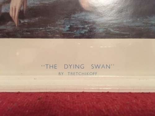 Tretchikoff: Dying Swan print