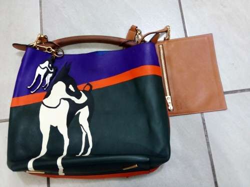Loewe Lost Dog Multicolour (John Allen collection) Bag