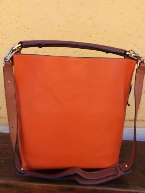Loewe Lost Dog Multicolour (John Allen collection) Bag