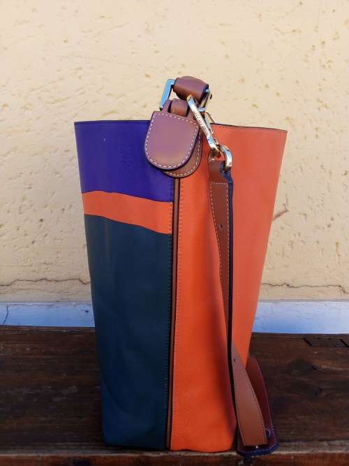 Loewe Lost Dog Multicolour (John Allen collection) Bag